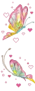 butterflys