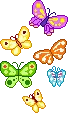 butterflys