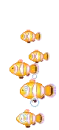 gold fish