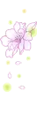 pink flower