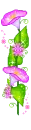 purple flowers