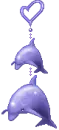 cute dolphins