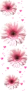 pink flowers