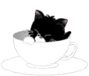 kitty in the cup
