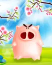 tired and angry pig