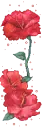 red flowers
