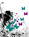butterflies