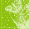 Limey green butterfly