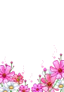 garlands/dividers - flowers