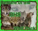 Bufford High School Wolves