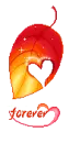 tree leaf with a heart