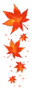 autumn leaves