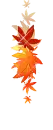 autumn leaves