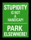 STUPID