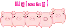 welcome