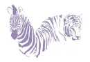 ZebraTiger