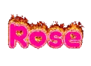 rose1