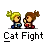 cat fight
