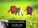Kitten