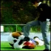Revenge