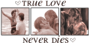 True Love Never Dies *The Notebook*