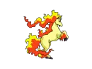 rapidash