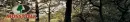 Mossy Oak
