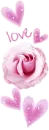LOVE ROSE