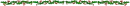 holly 