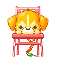 cute puppy