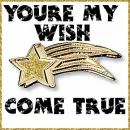 Wish Come True