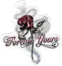 cool pic