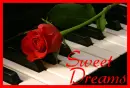 Sweet dreams