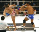 Cro Cop