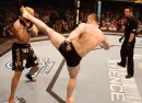 Mirko Cro Cop