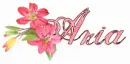 Aria