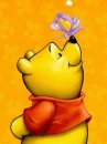 Pooh_And_Butterfly