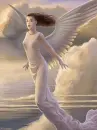 angel1
