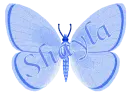 Shayla