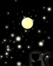 cat look at the moon