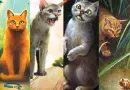 Cats