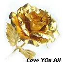 Love You