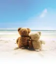 Bear Love