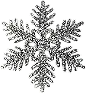 sparkle snowflake