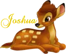 Joshua-Bambi