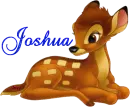 Joshua-Bambi