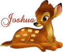 Joshua-Bambi