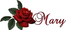 Mary-Red Rose