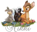 Nikki-Bambi N Friends