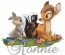Ronnie-Bambi N Friends